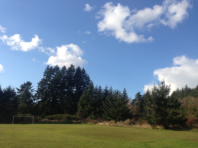 领域崭露头 领域崭露头
