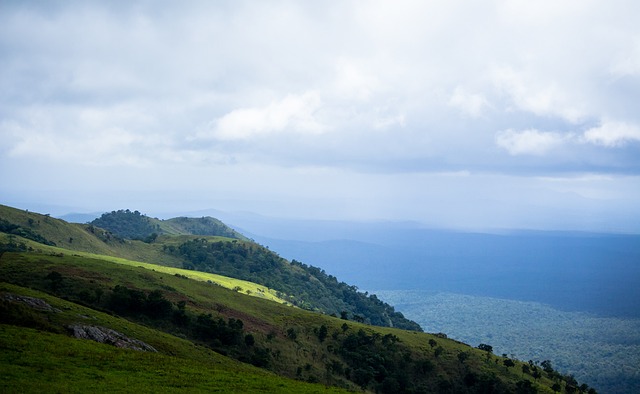 球員簽下破 球員簽下破