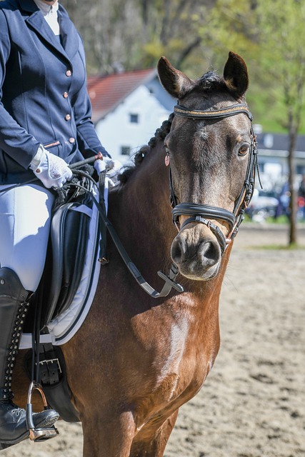 青队在U 青队在U