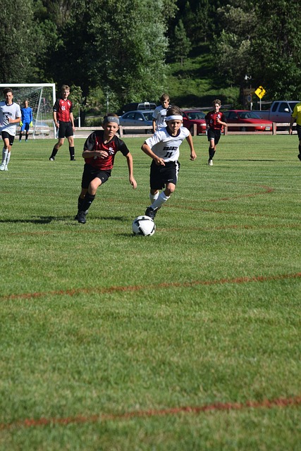 新纪元的商 新纪元的商