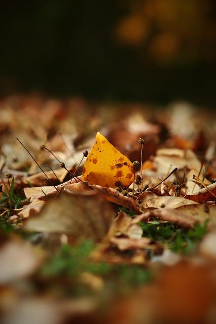 仅属于这位 仅属于这位